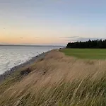 Tranquil Haven In