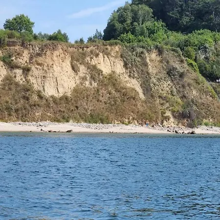 Tranquil Haven In
