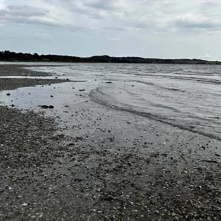 Tranquil Haven In - By Traum *