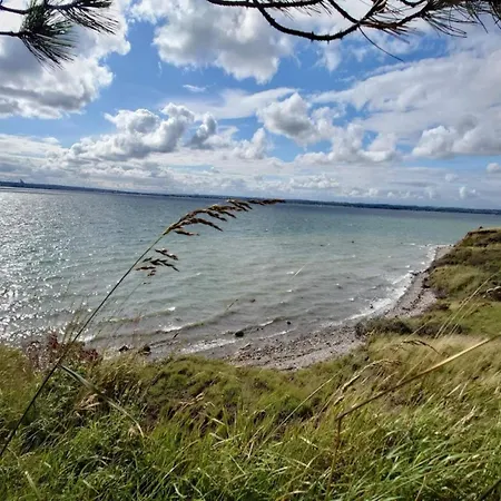 Tranquil Haven In